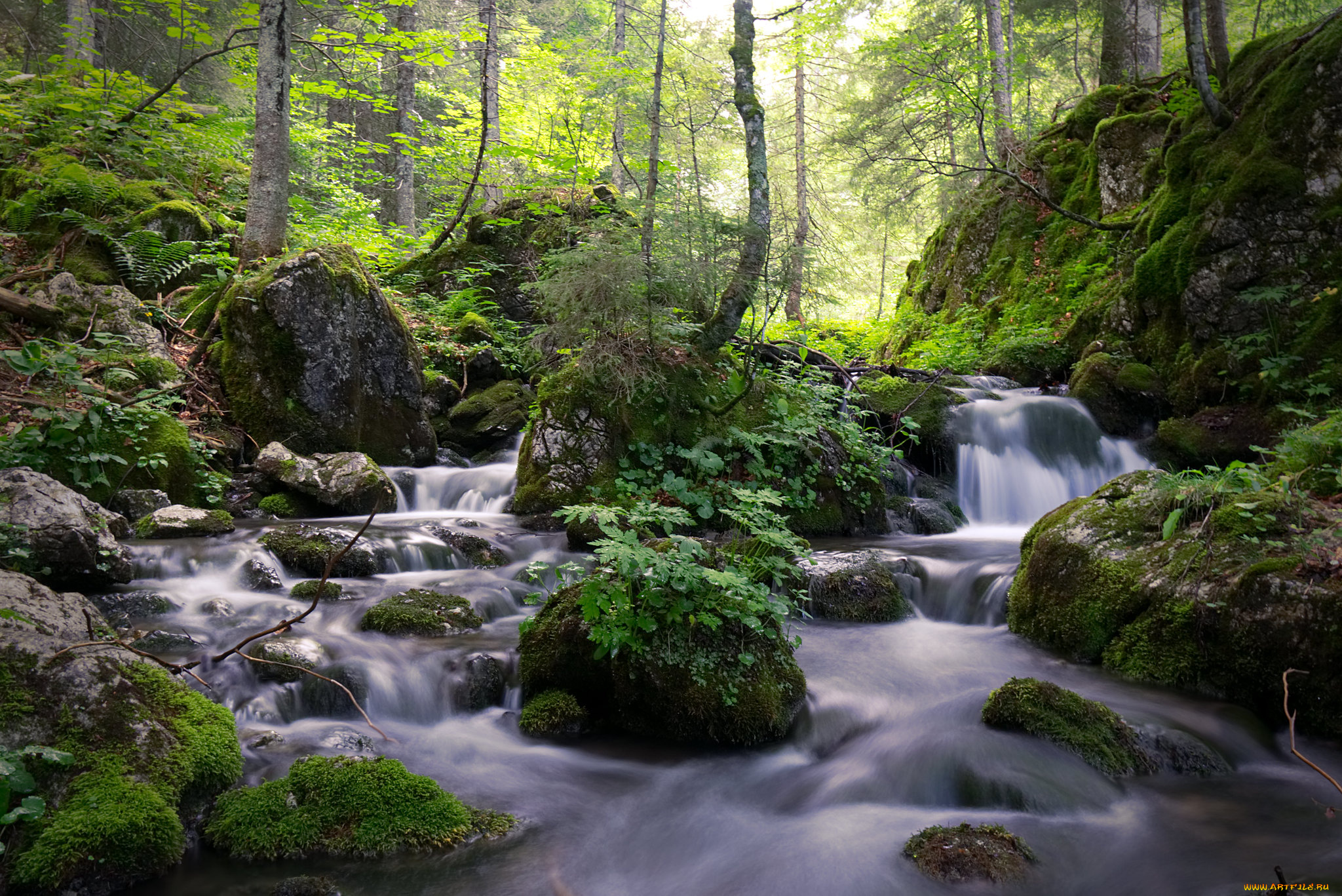 природа, реки, озера, простор