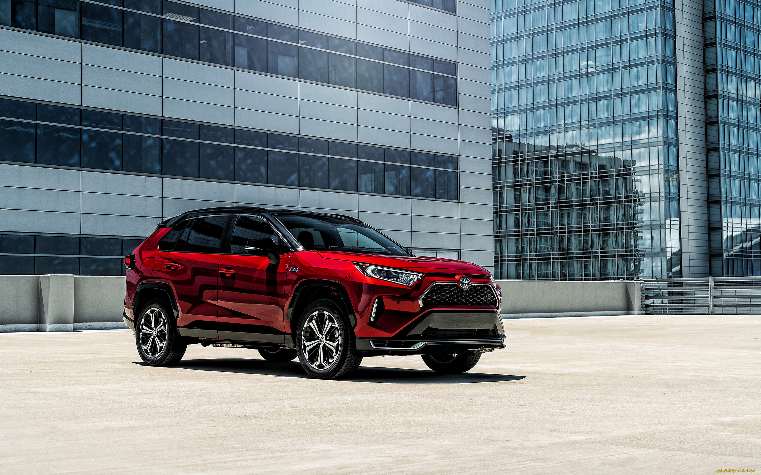 автомобили, toyota, rav4, prime, 2021, 4k, вид, спереди, экстерьер, красный, внедорожник, новый, японские