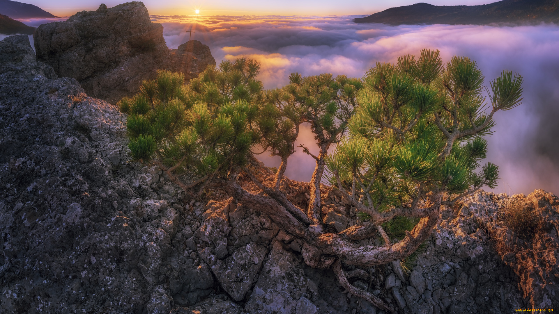 природа, горы, солнце, облака, лучи, пейзаж, дерево, скалы, утро, крым, сосна