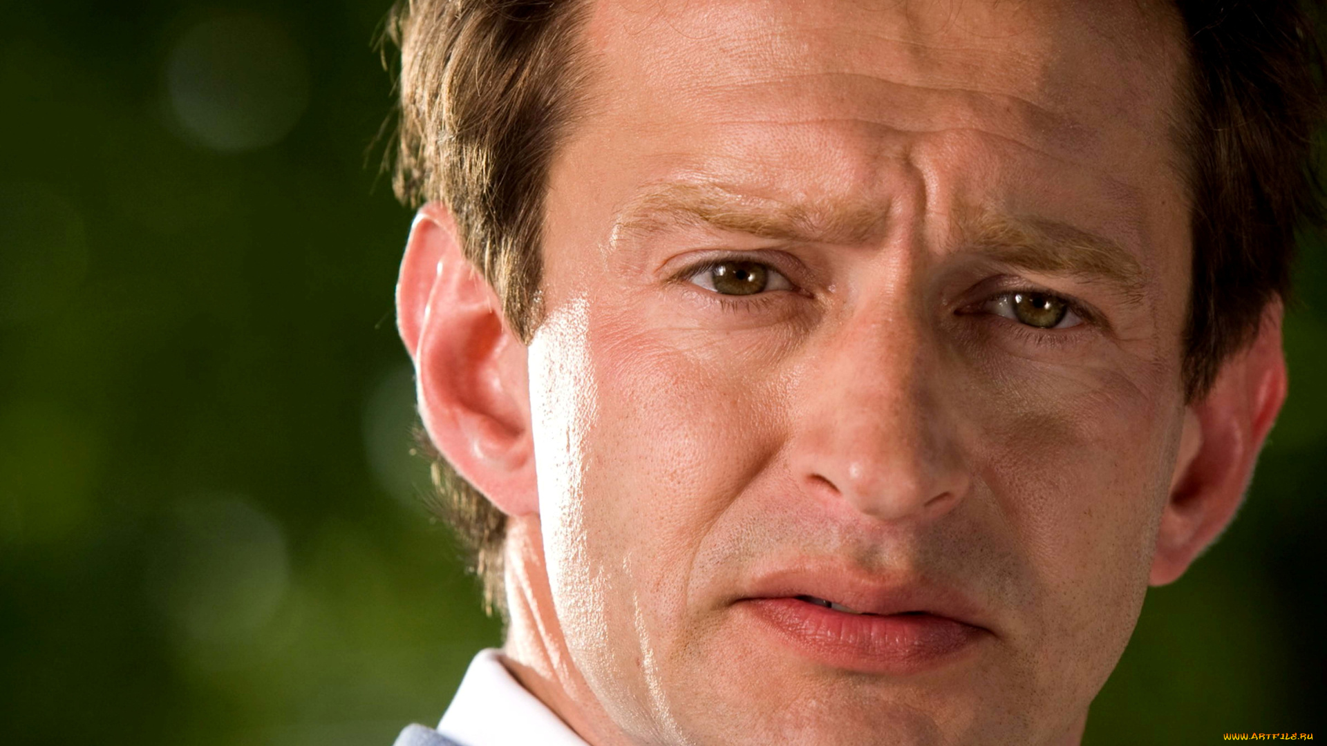 кино, фильмы, колотилов, мужчина, лицо