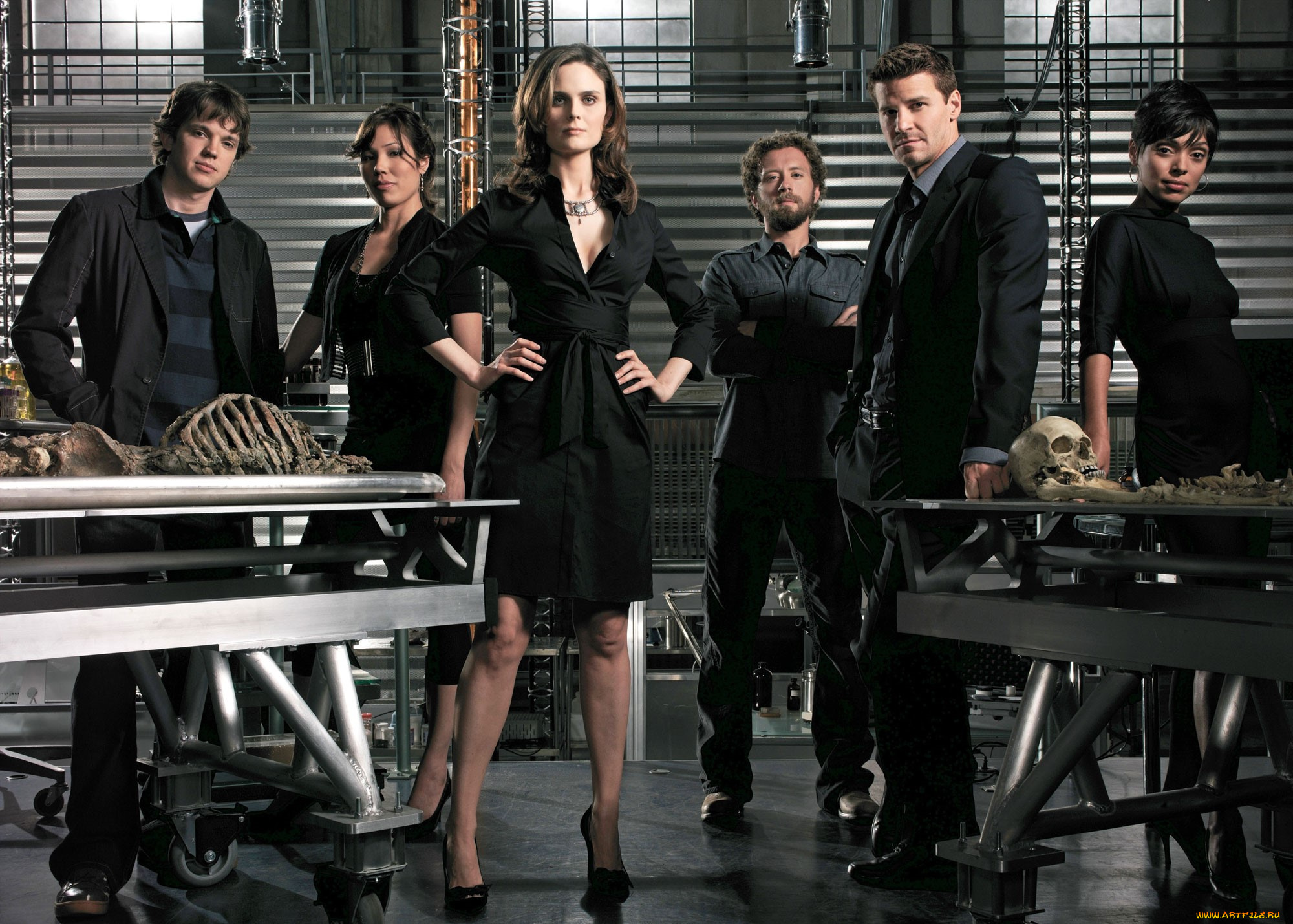 кино, фильмы, bones, команда, детективы, кости