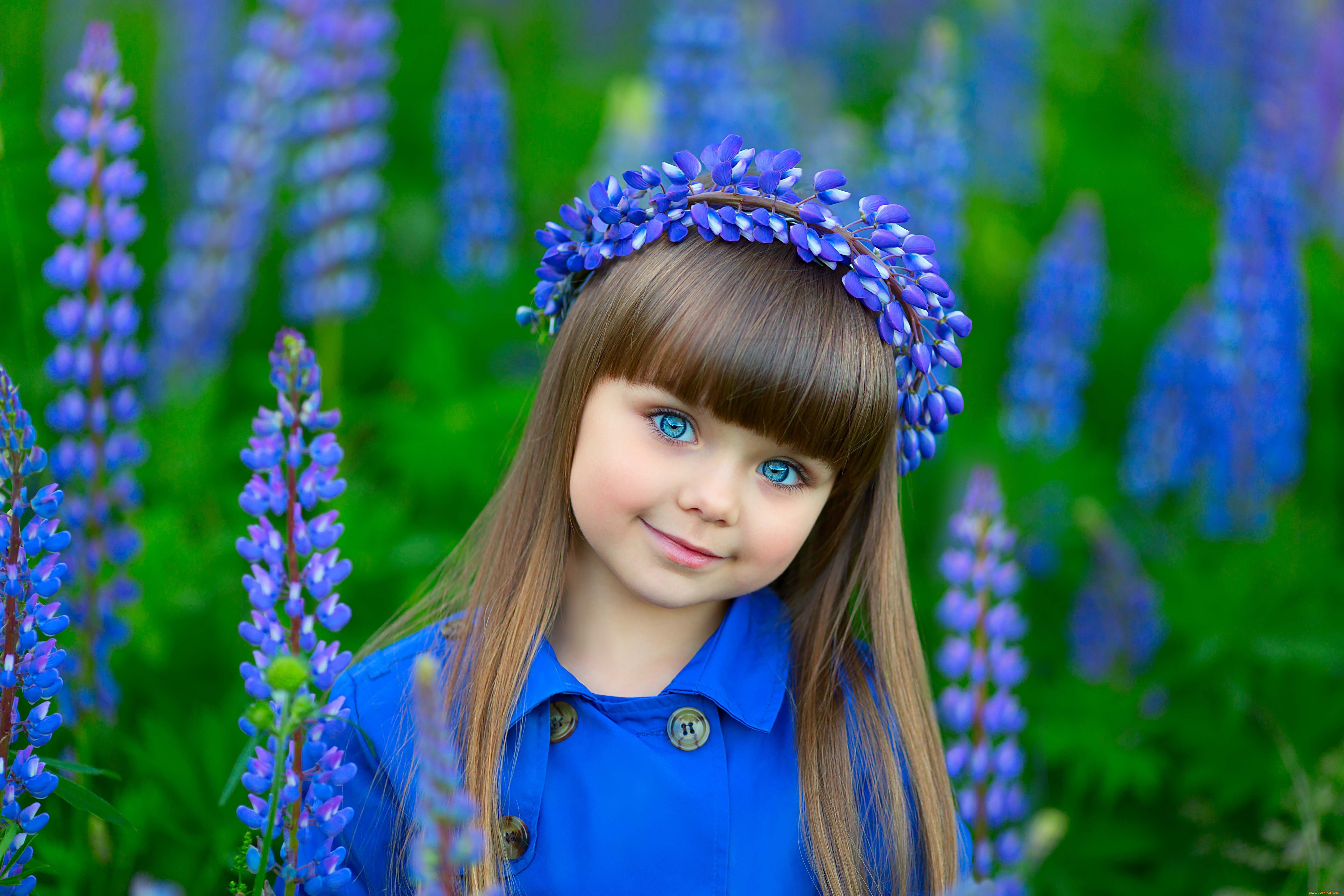 разное, дети, девочка, венок, поле, цветы