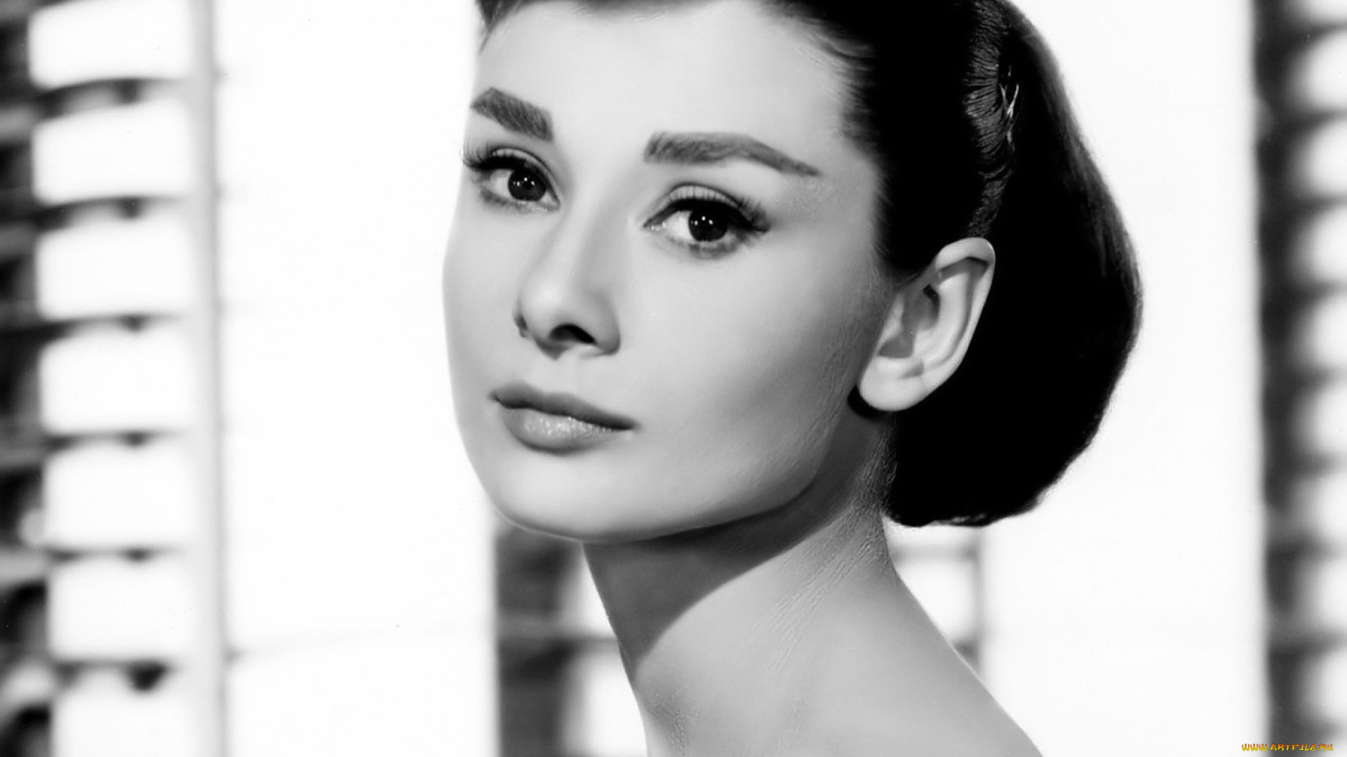 девушки, audrey, hepburn, актриса, лицо, черно-белая