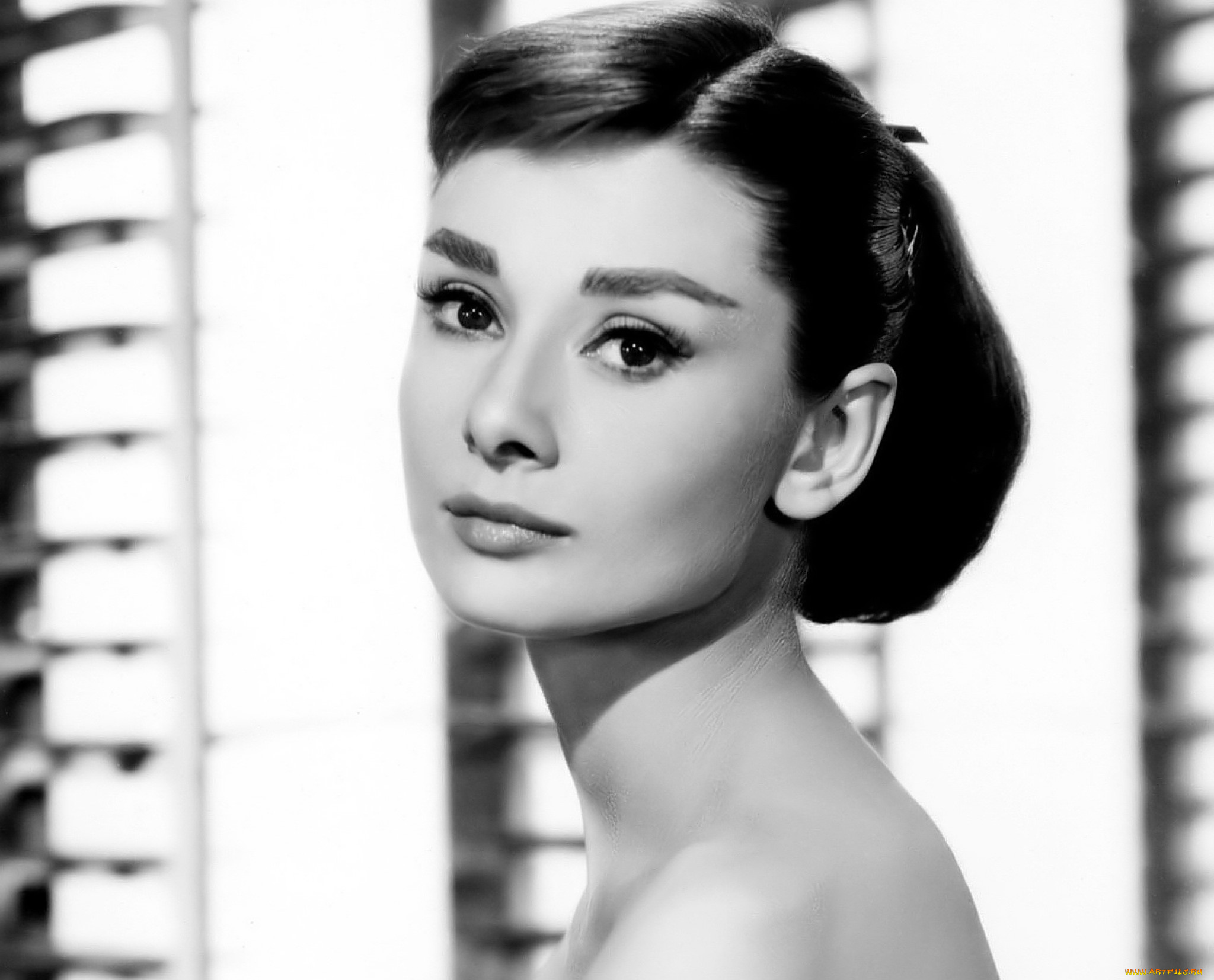 девушки, audrey, hepburn, актриса, лицо, черно-белая