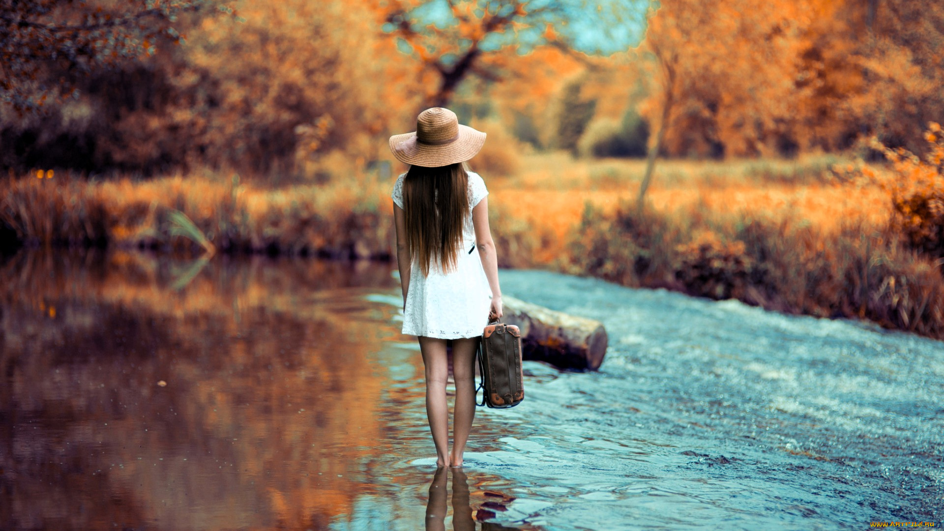 девушки, -, брюнетки, , шатенки, шатенка, шляпа, платье, чемодан, река, лес