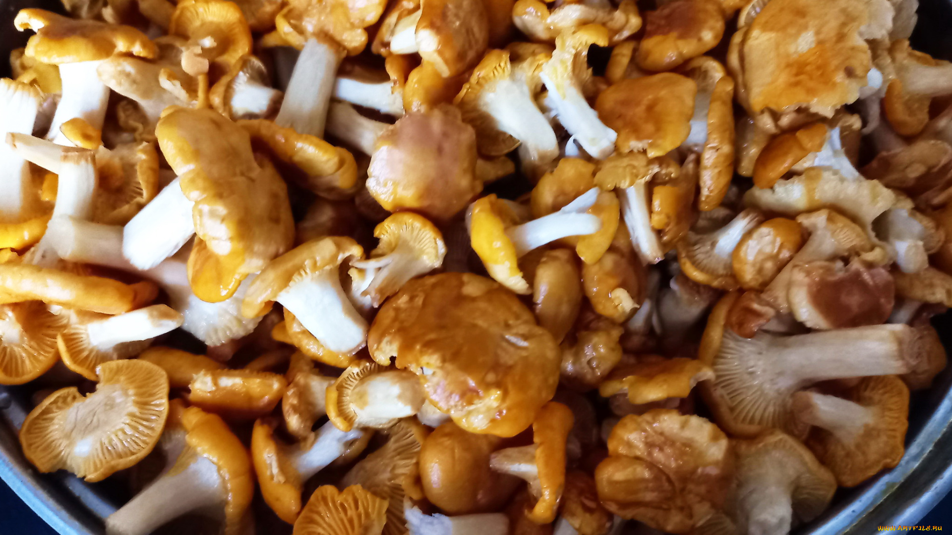 еда, грибы, , грибные, блюда, лесные, лисички