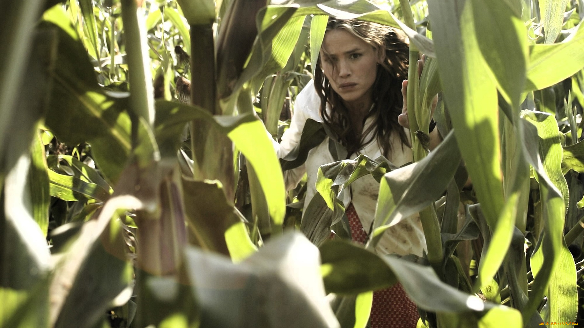 кино, фильмы, alias, девушка, поле, кукуруза