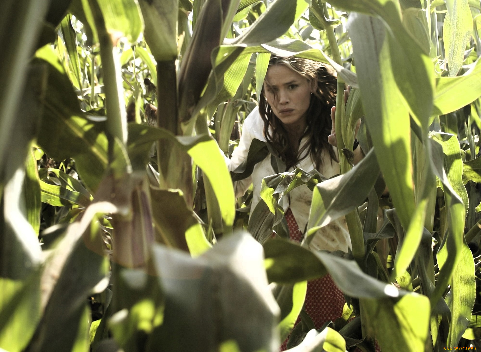 кино, фильмы, alias, девушка, поле, кукуруза