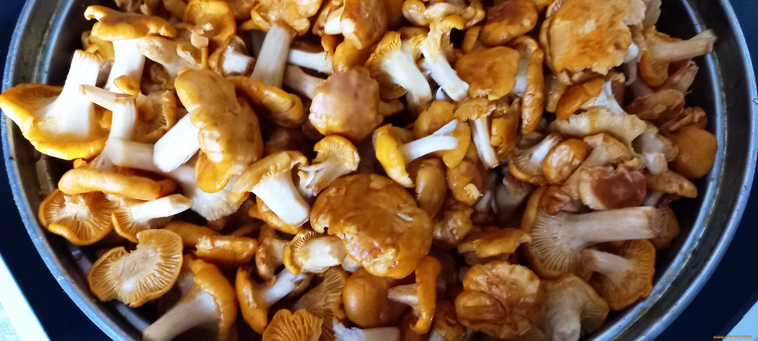 еда, грибы, , грибные, блюда, лесные, лисички