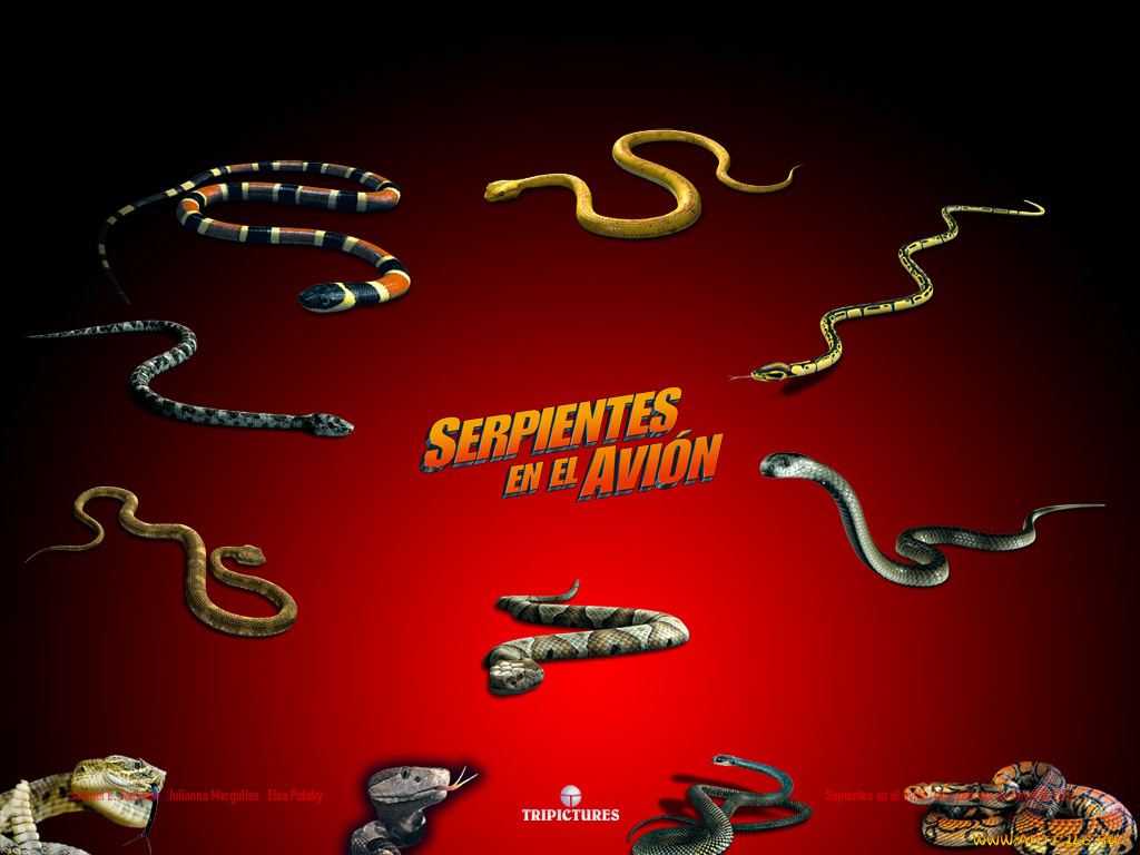 кино, фильмы, snakes, on, plane