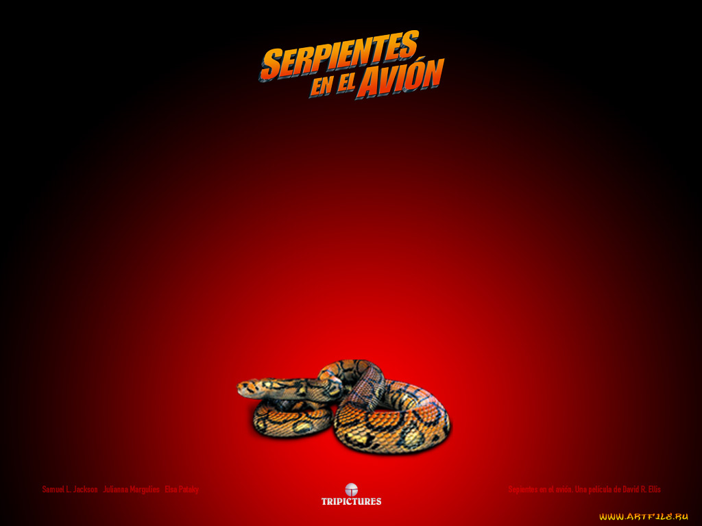 кино, фильмы, snakes, on, plane