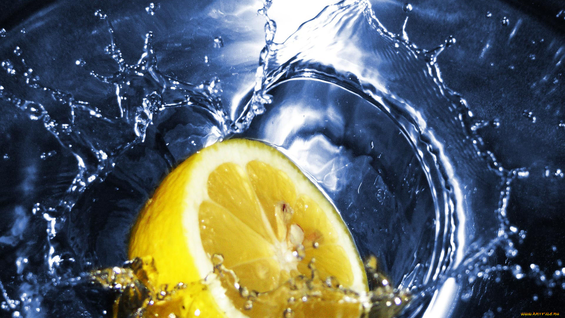 еда, цитрусы