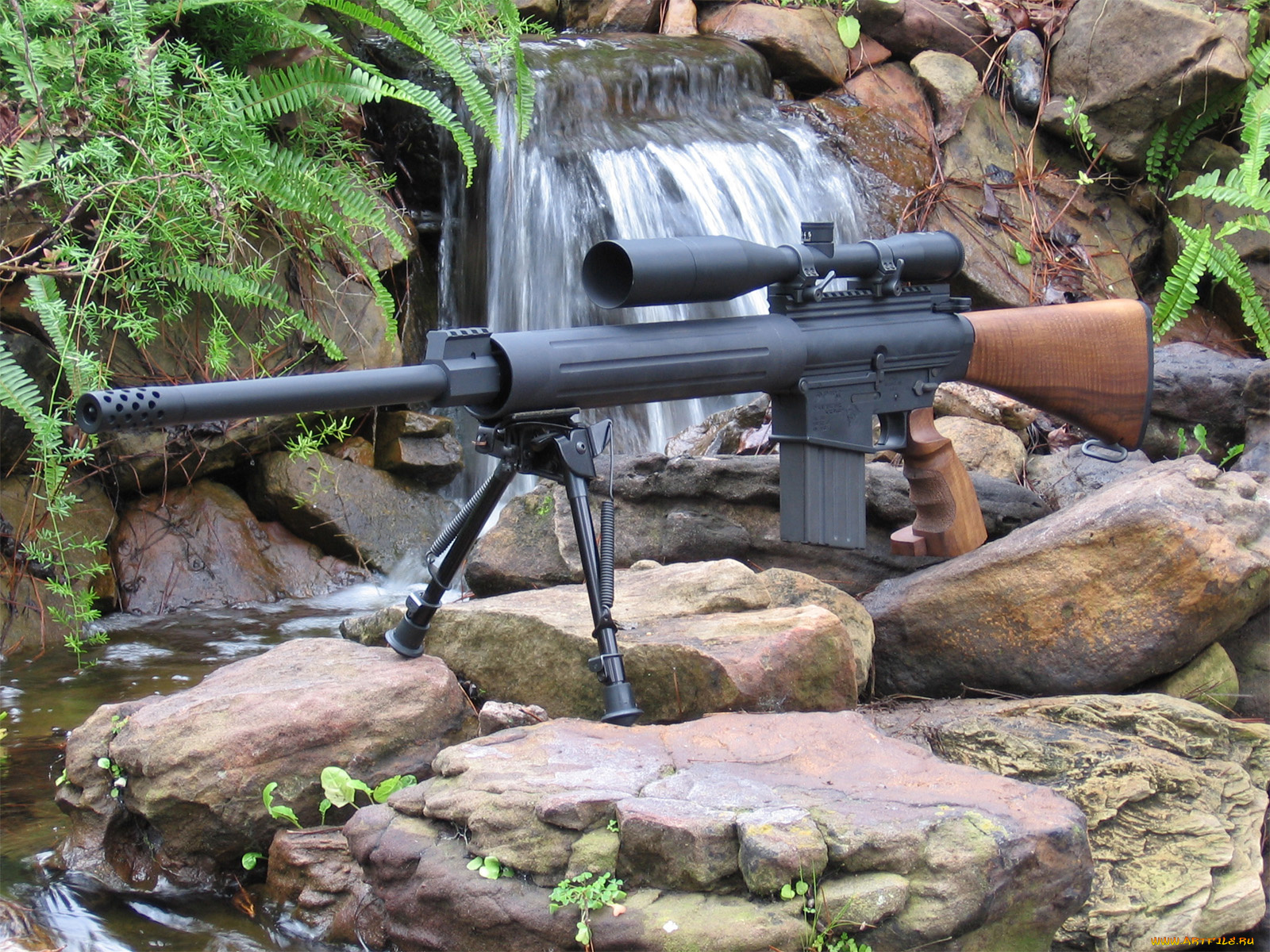 оружие, винтовки, прицеломприцелы