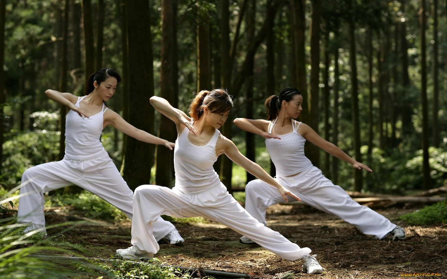 спорт, гимнастика