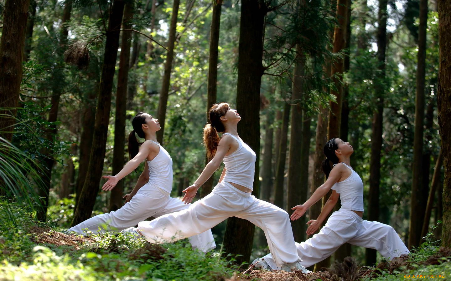 спорт, гимнастика