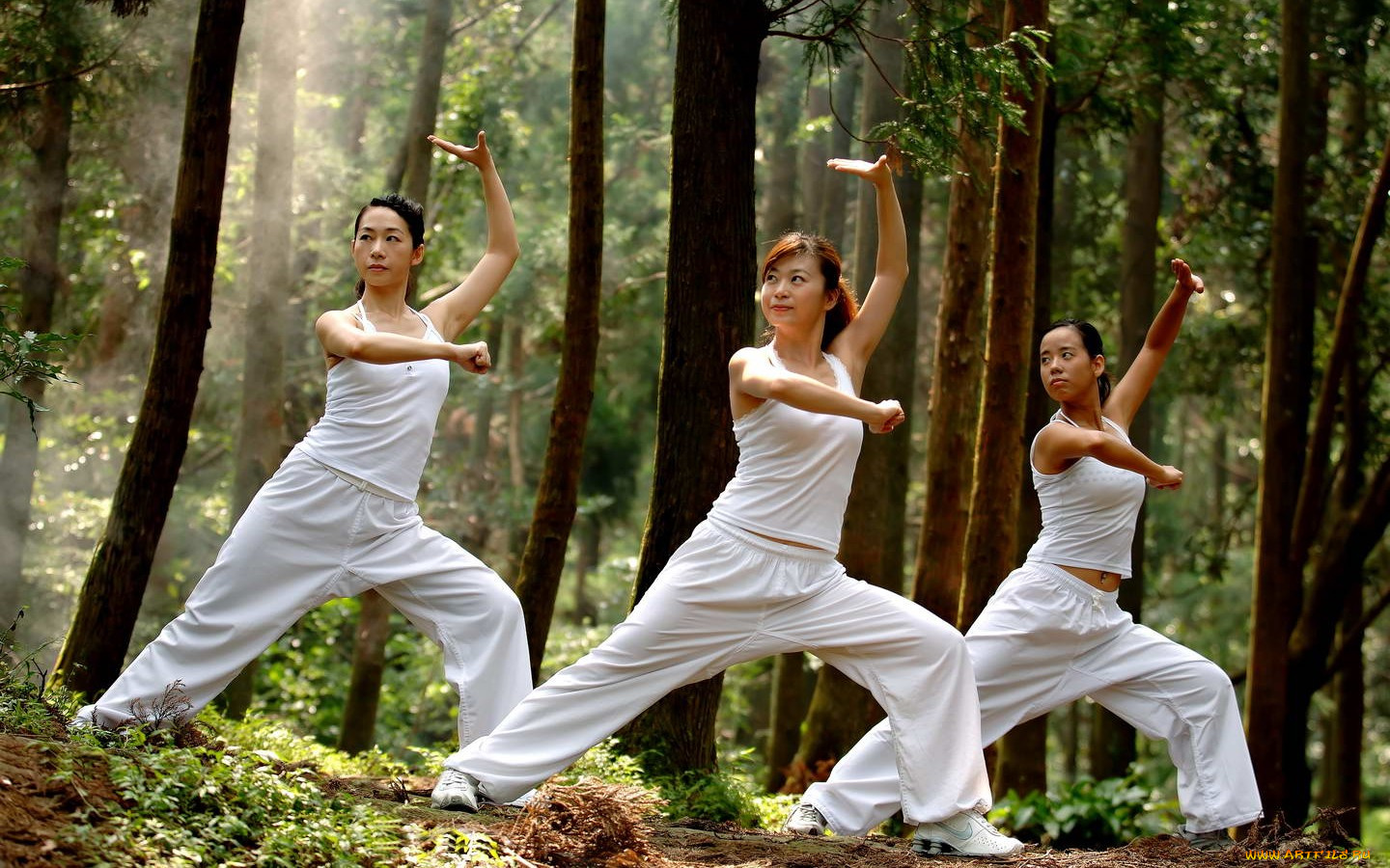 спорт, гимнастика