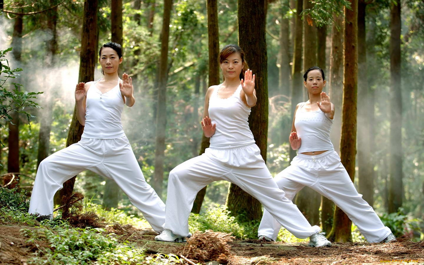 спорт, гимнастика