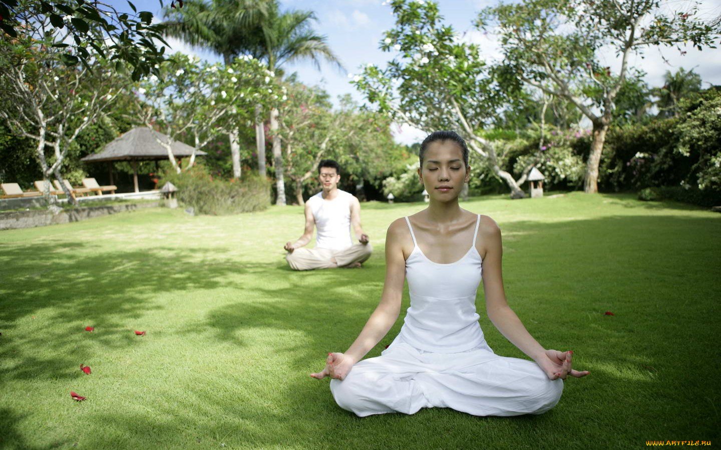 спорт, гимнастика