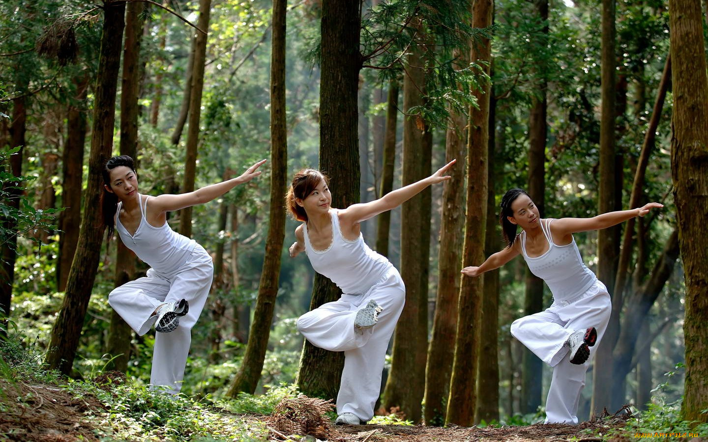 спорт, гимнастика