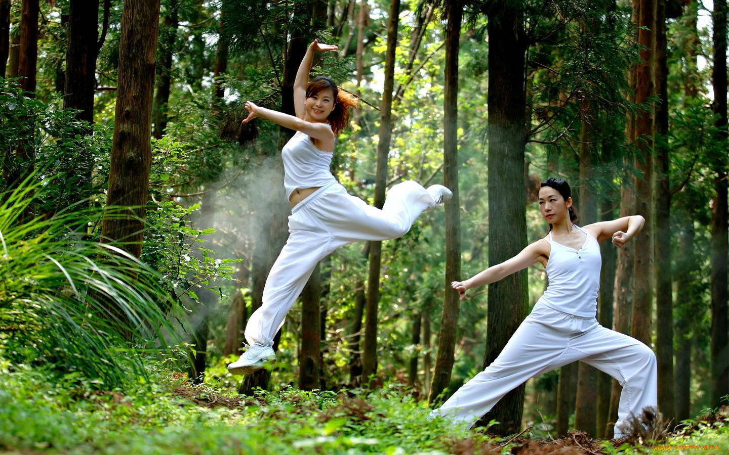 спорт, гимнастика