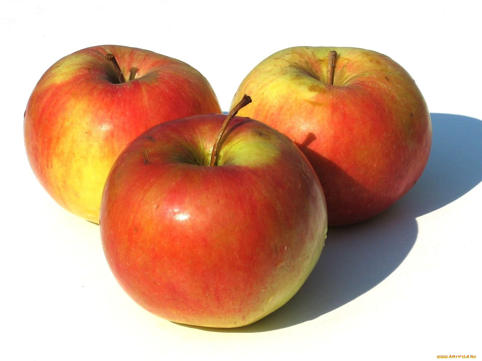 еда, Яблоки