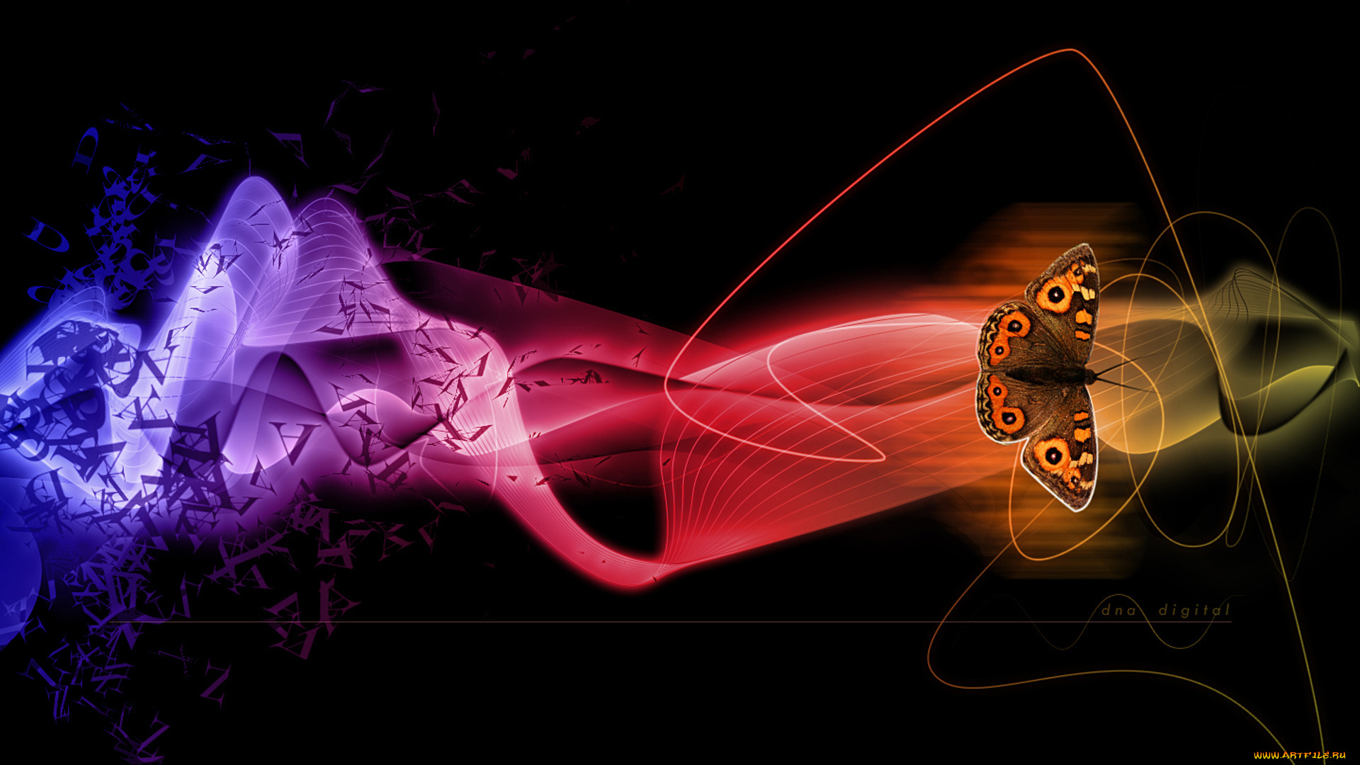 3д, графика, animals, животные, бабочка, креатив