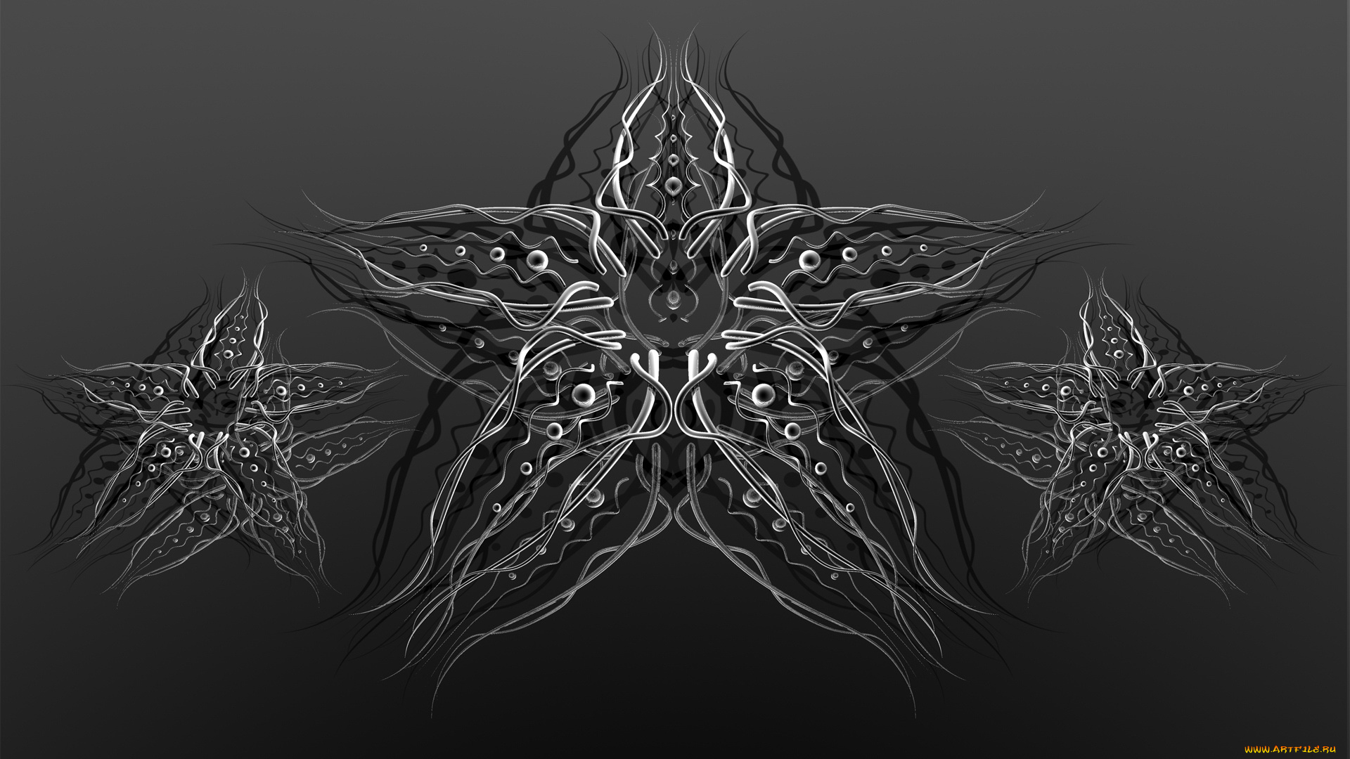 3д, графика, fractal, фракталы, линии, изгиби, круги