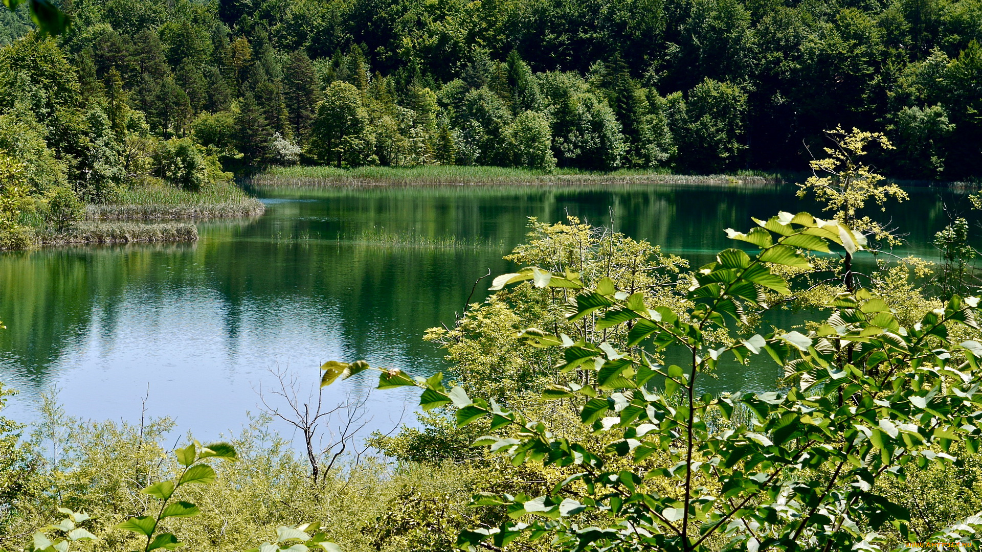 плитвицкие, озера, хорватия, природа, реки