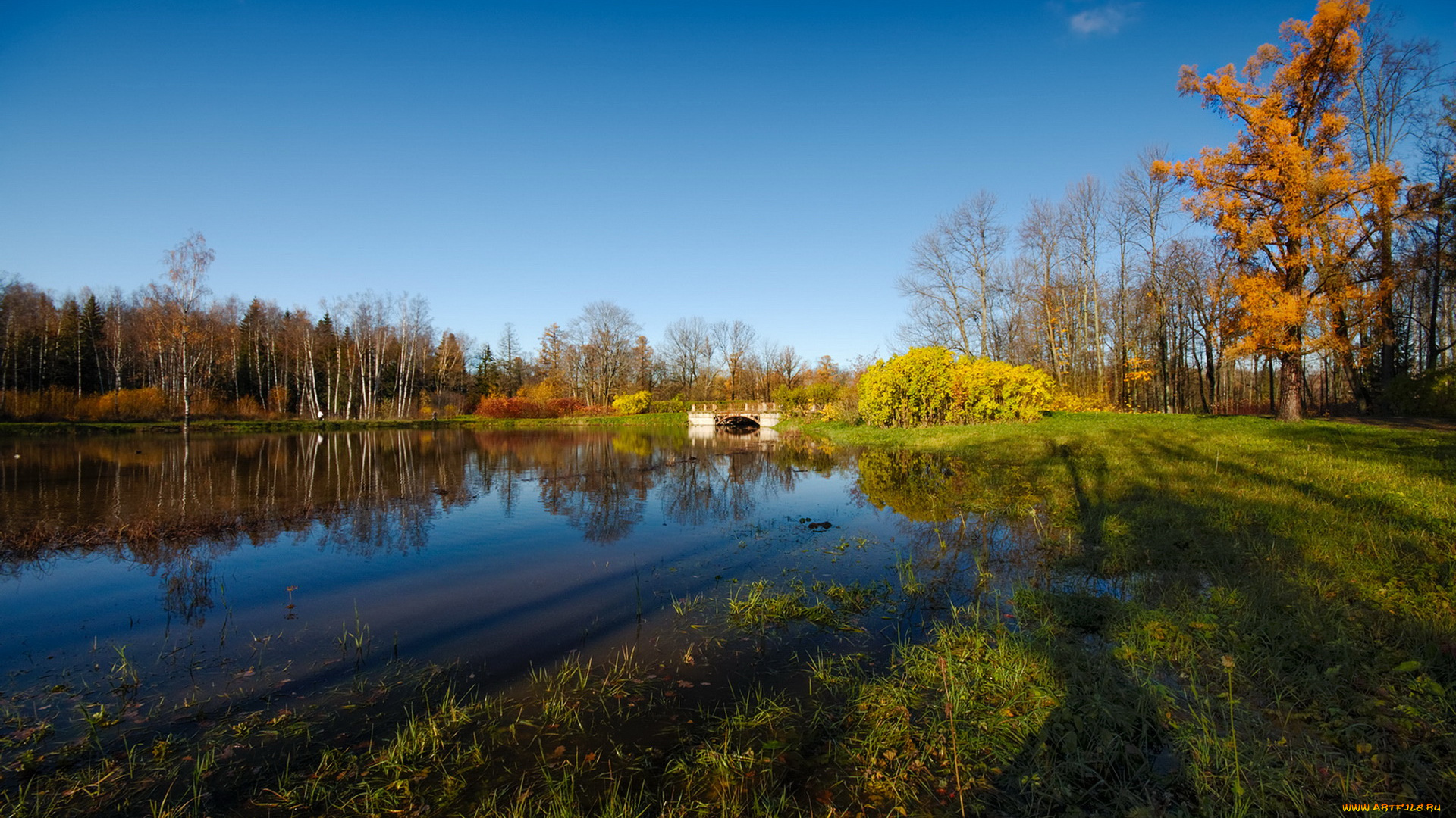 природа, реки, озера, мост, водоем, небо
