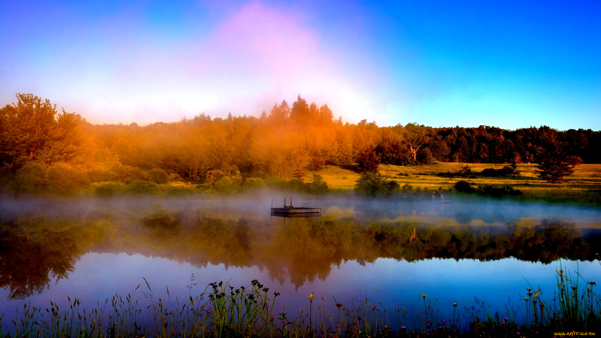 природа, реки, озера, трава, осень, река, лес, цветы, отражение, плот