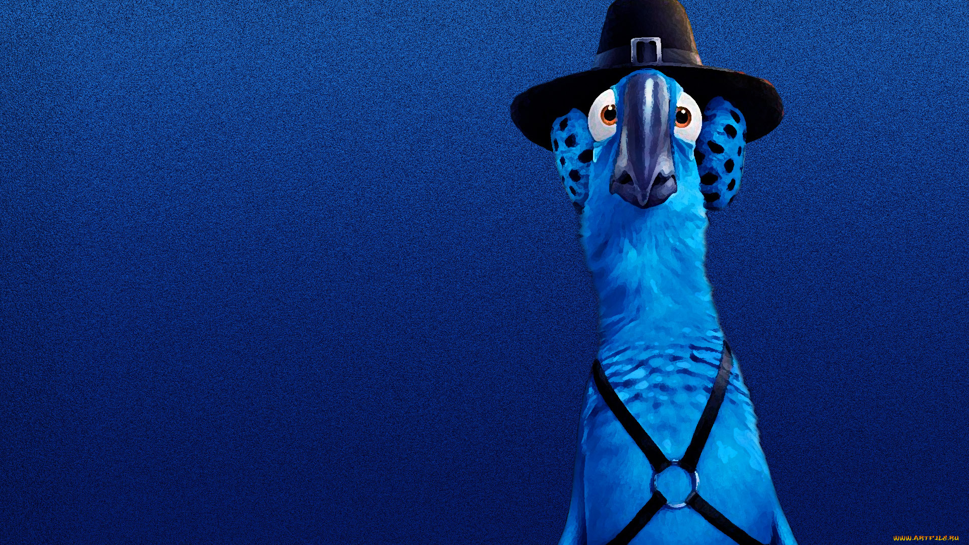 рио, мультфильмы, rio, попугай, синий