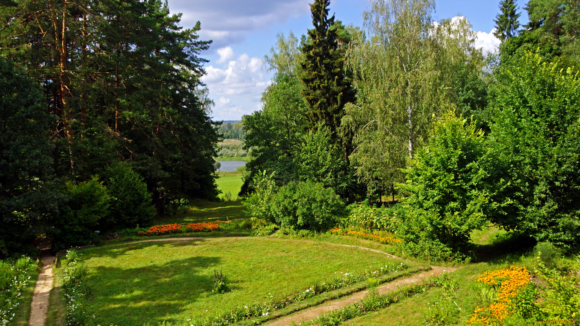 тульская, область, заокский, природа, деревья, лес, река, поляна