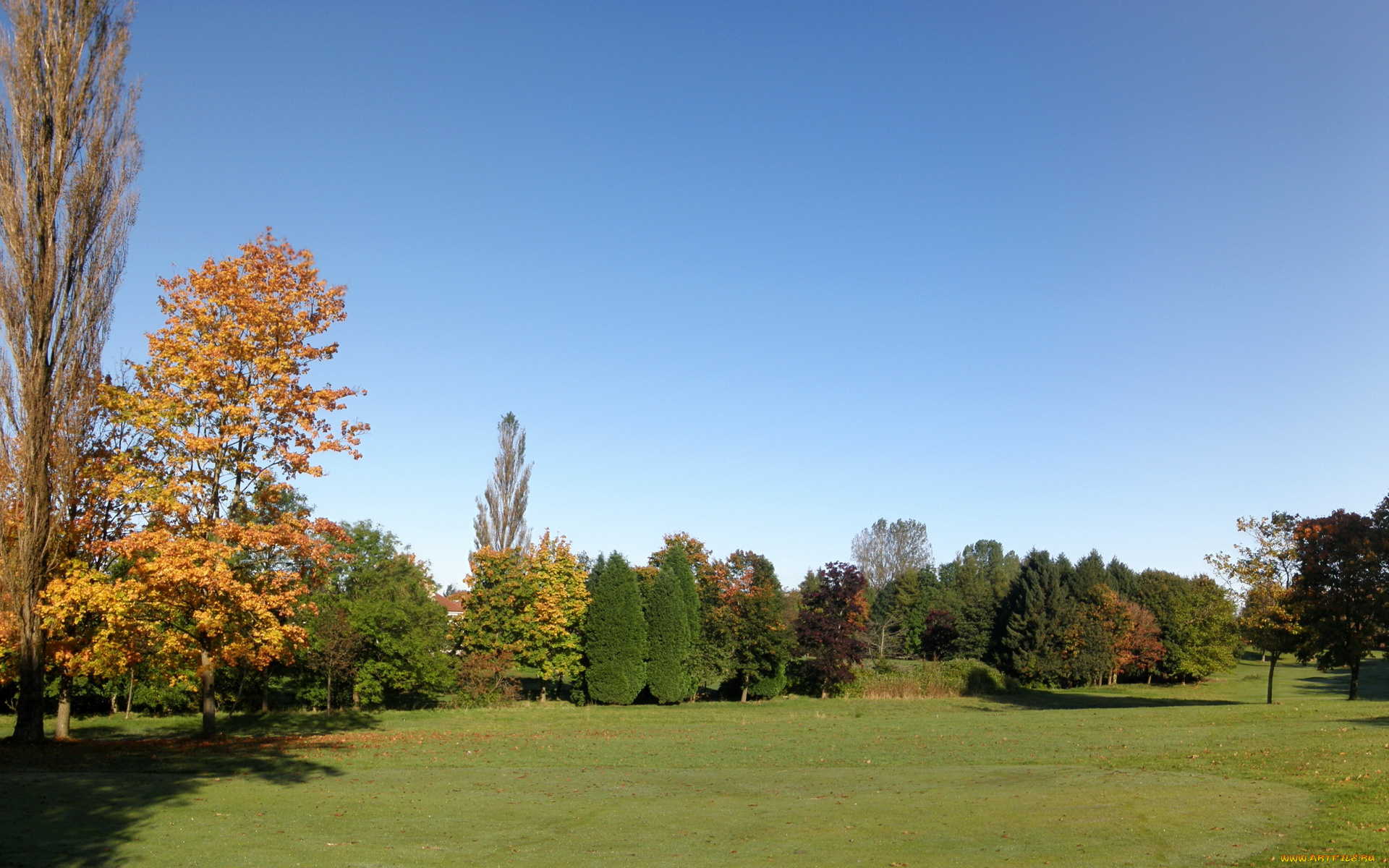 knightswood, park, шотландия, глазго, природа, парк