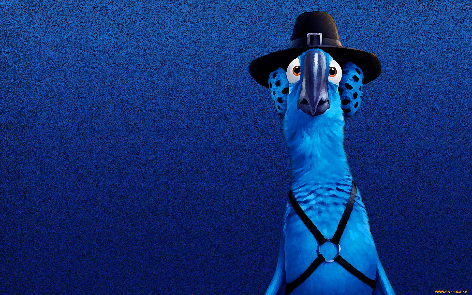 рио, мультфильмы, rio, попугай, синий