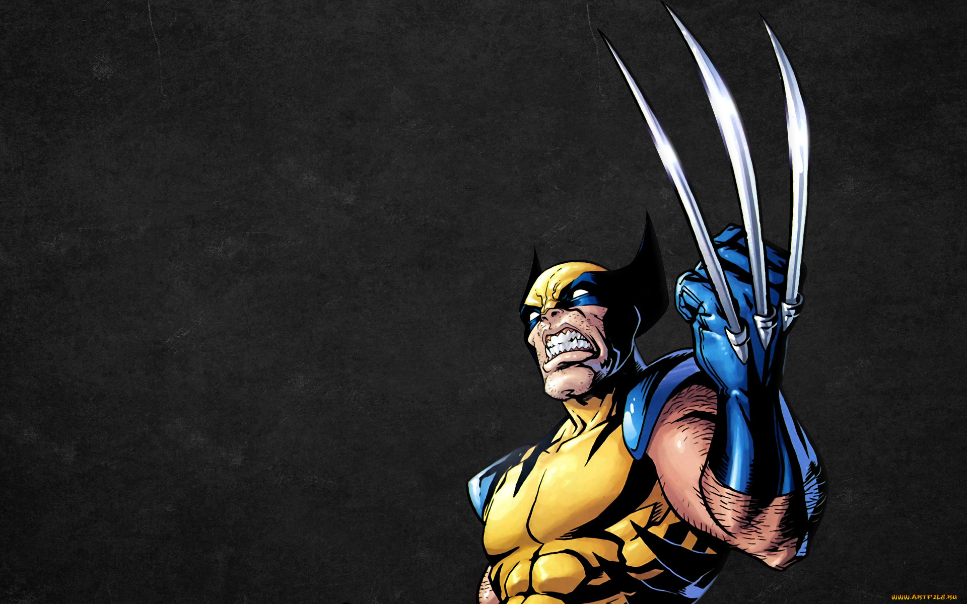 росомаха, рисованные, комиксы, wolverine, люди, икс, комикс, x-men, comics