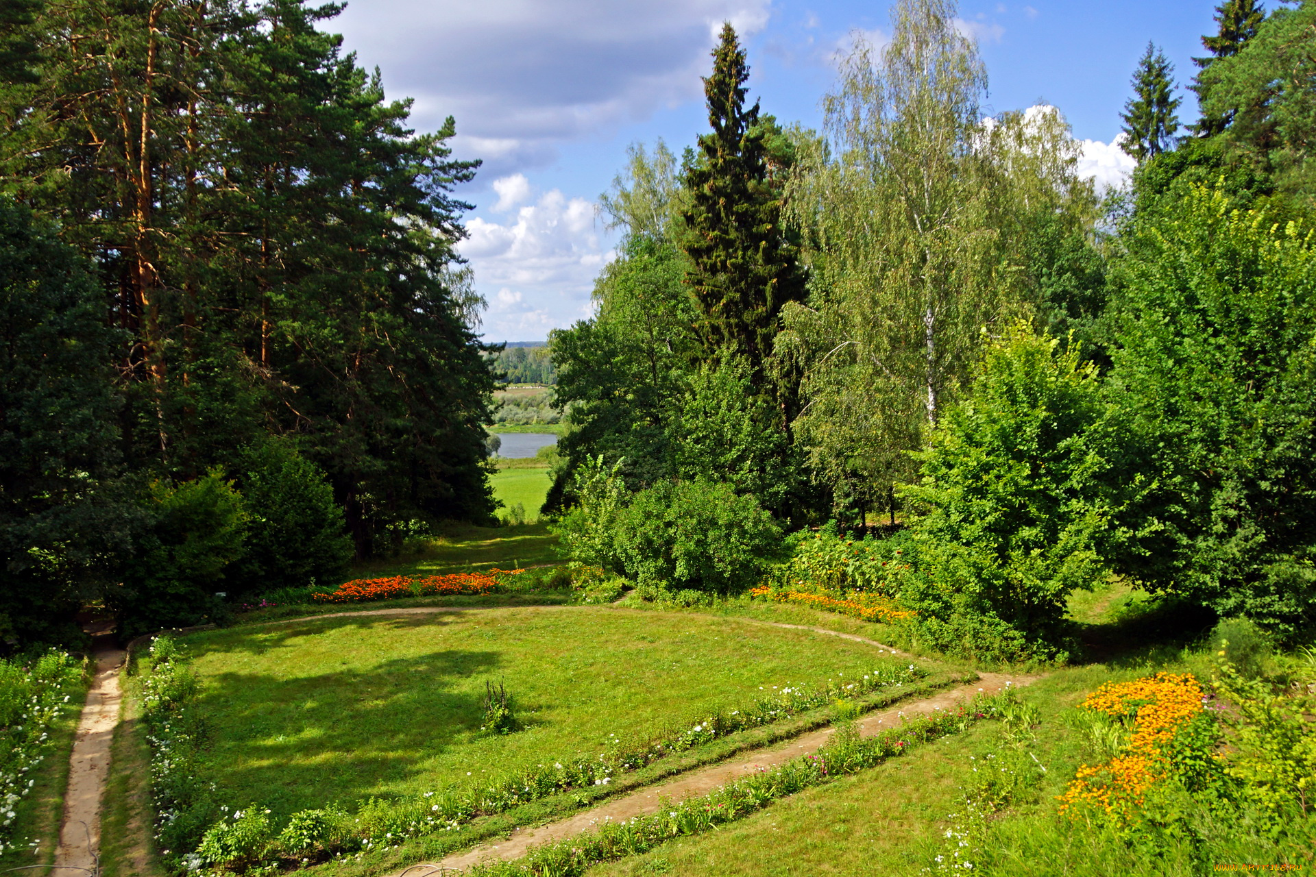 тульская, область, заокский, природа, деревья, лес, река, поляна
