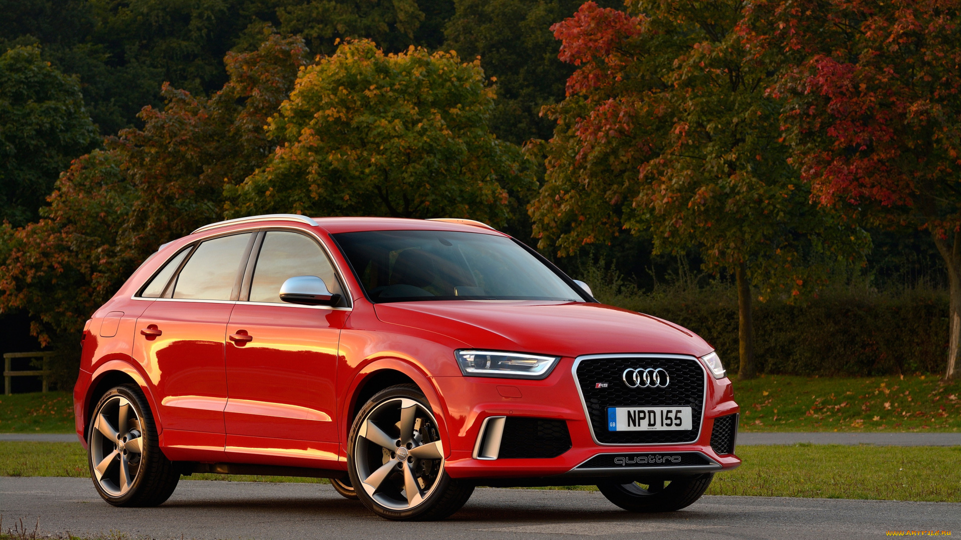 2013, audi, rs, q3, автомобили, дорога, лес