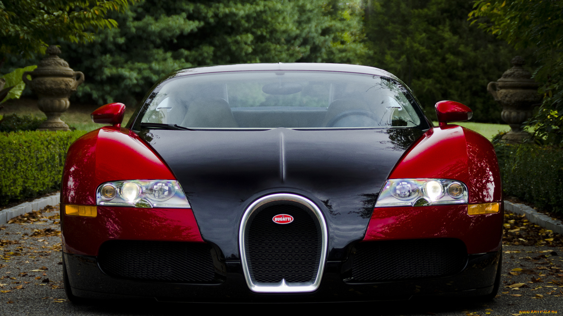 автомобили, bugatti, veyron