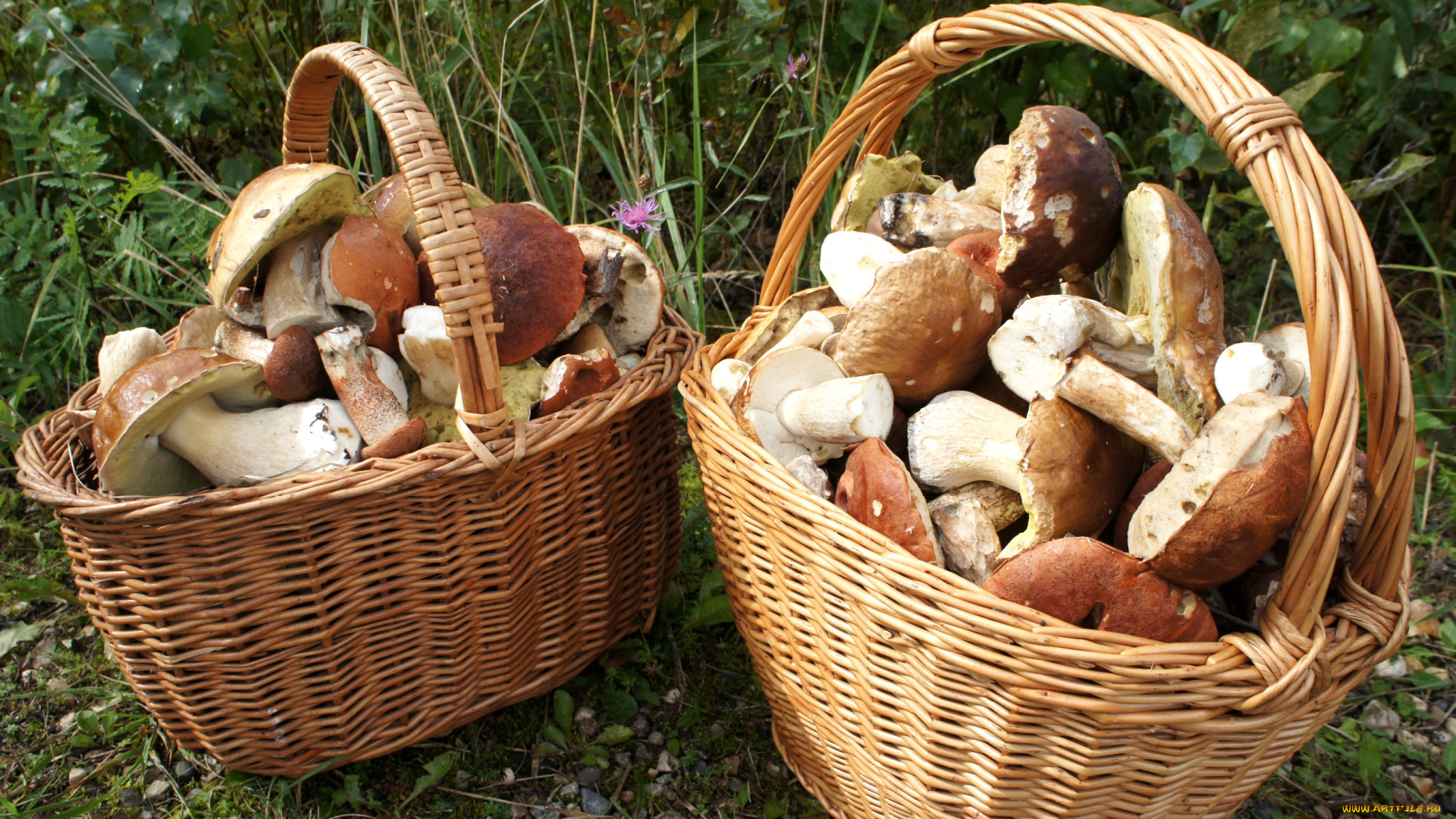 еда, грибы, грибные, блюда, корзинки