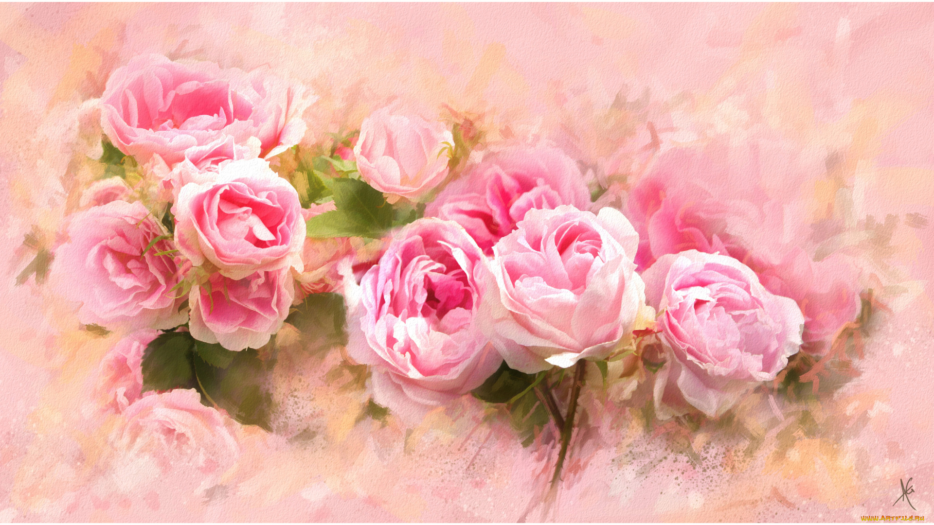 рисованные, цветы, розы