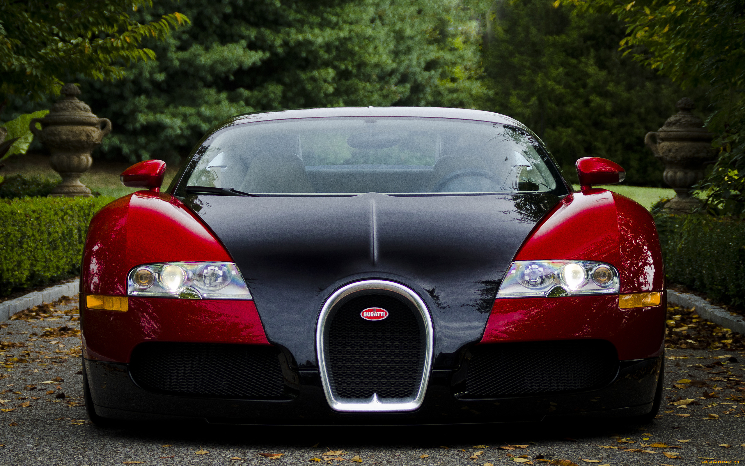 автомобили, bugatti, veyron