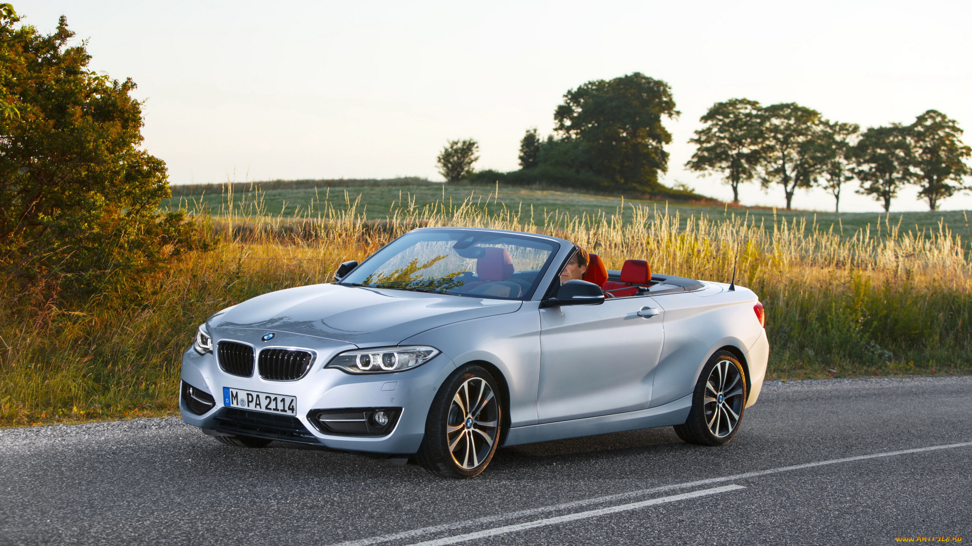 2014, bmw, 228i, f23, convertible, автомобили, bmw, металлик, кабриолет, серебристый