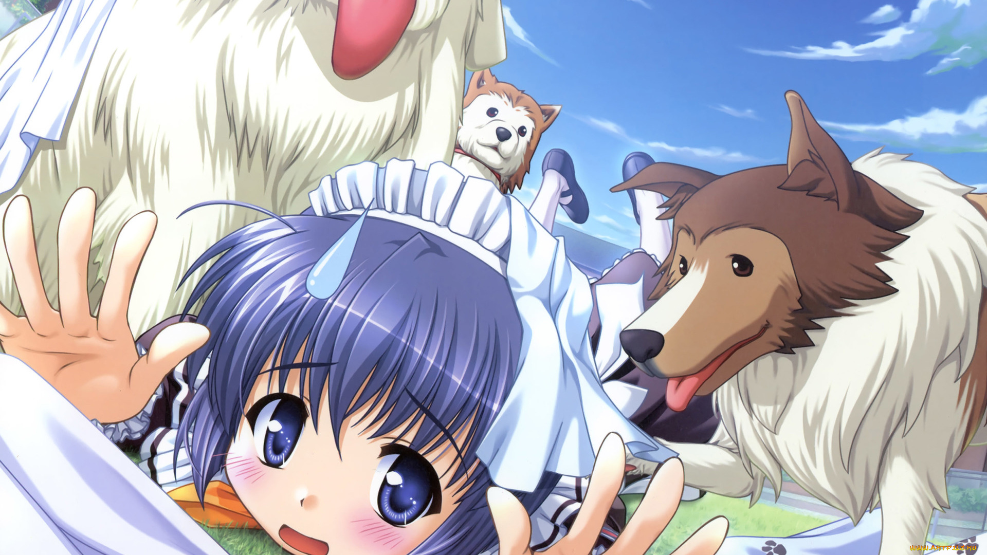 yoake, mae, yori, ruri, iro, na, аниме, девушка, собаки