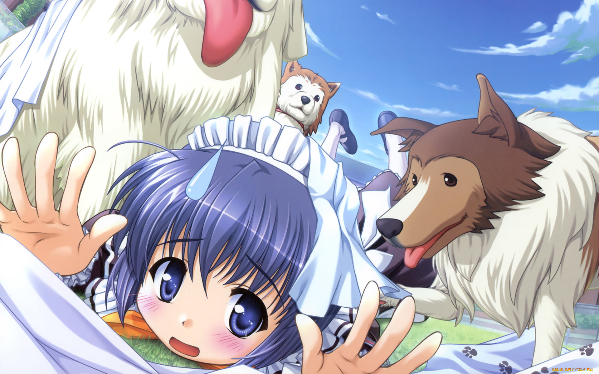 yoake, mae, yori, ruri, iro, na, аниме, девушка, собаки