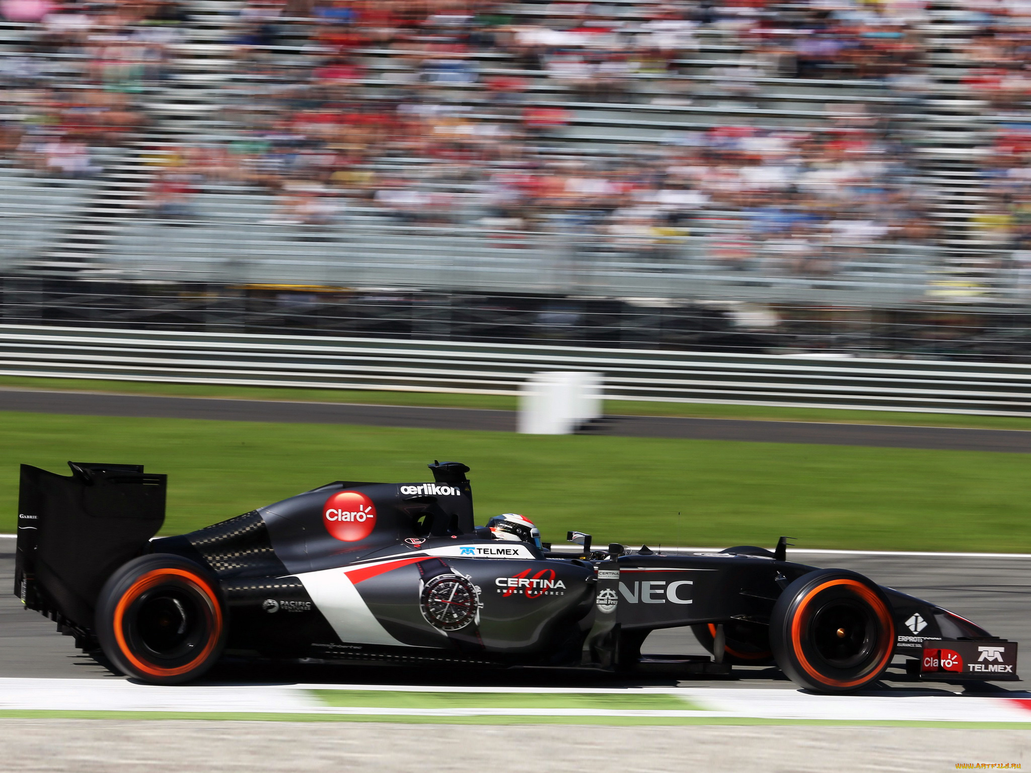 спорт, формула, 1, гонка, c33, 2014г, трек, скорость, sauber