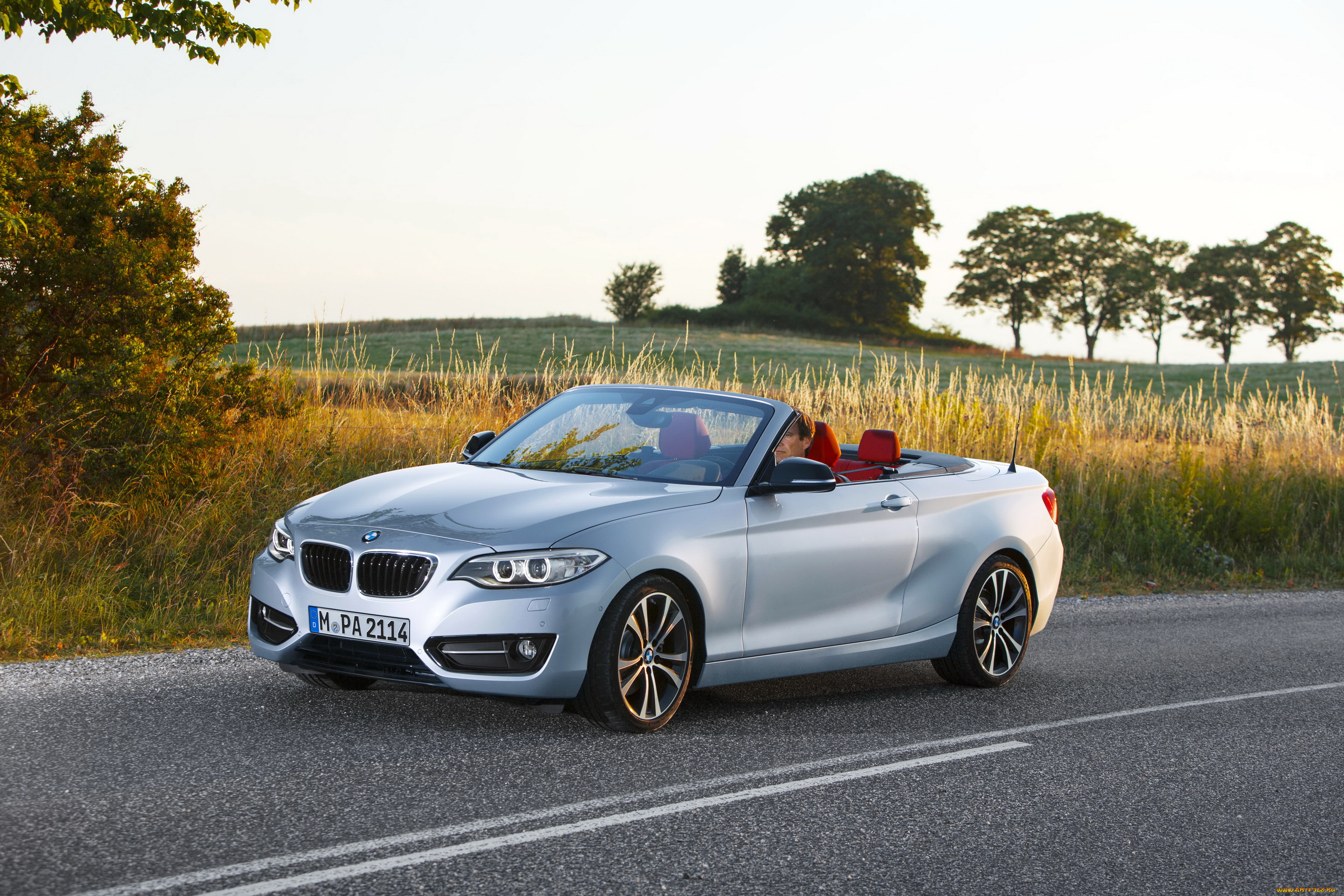 2014, bmw, 228i, f23, convertible, автомобили, bmw, металлик, кабриолет, серебристый