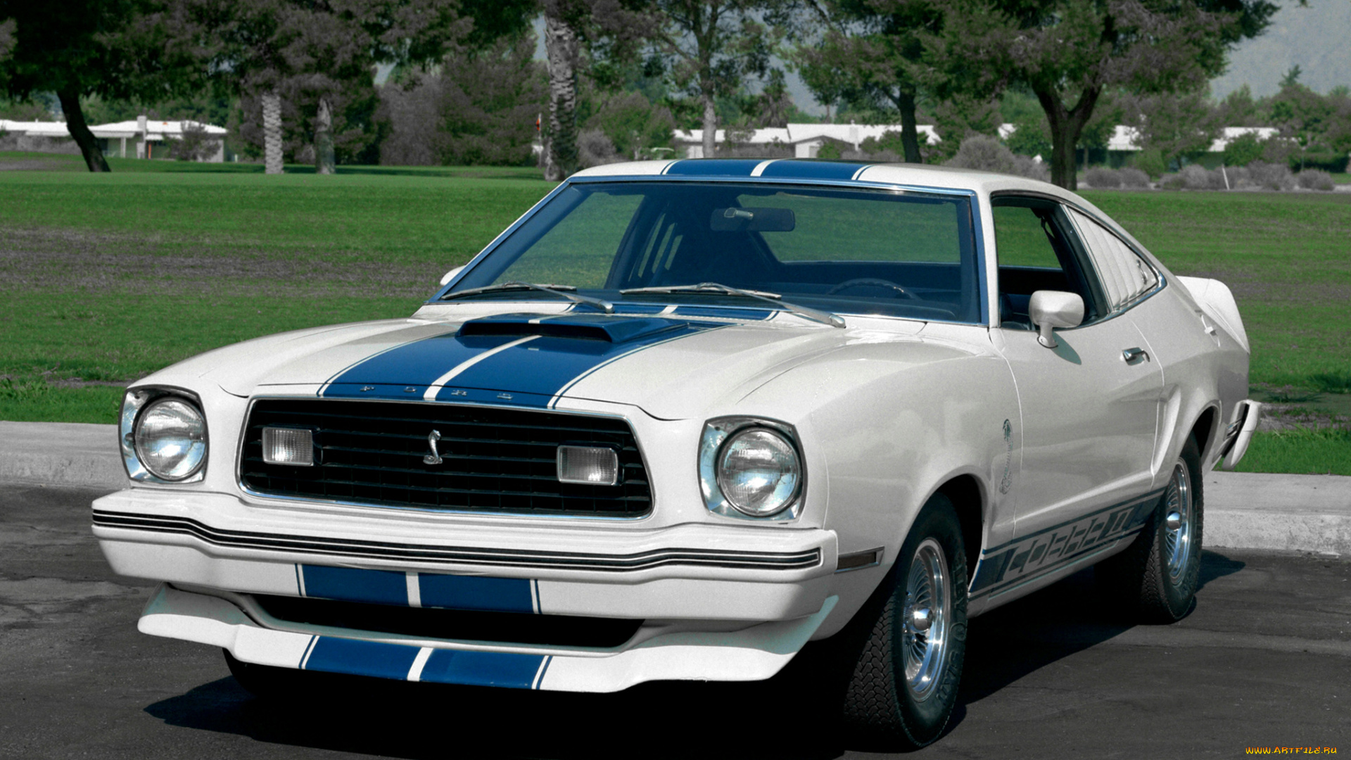 автомобили, mustang