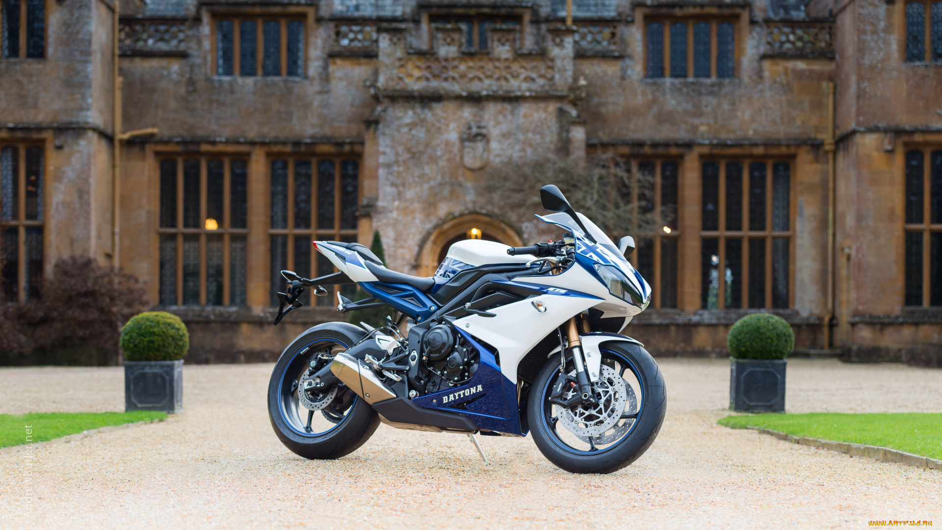 мотоциклы, daytona, triumph