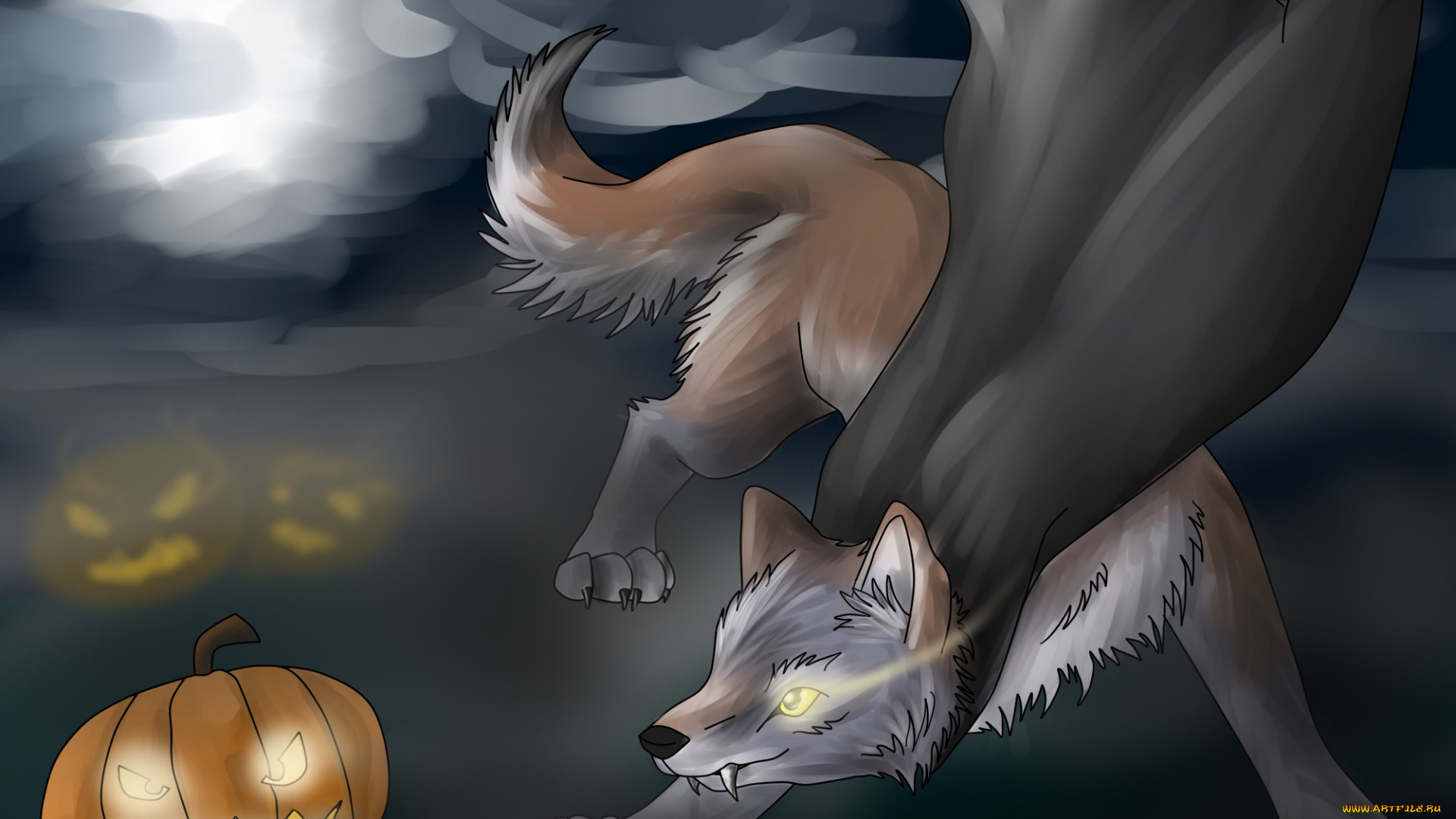 рисованное, животные, , лисы, тыква, фон, взгляд, волк