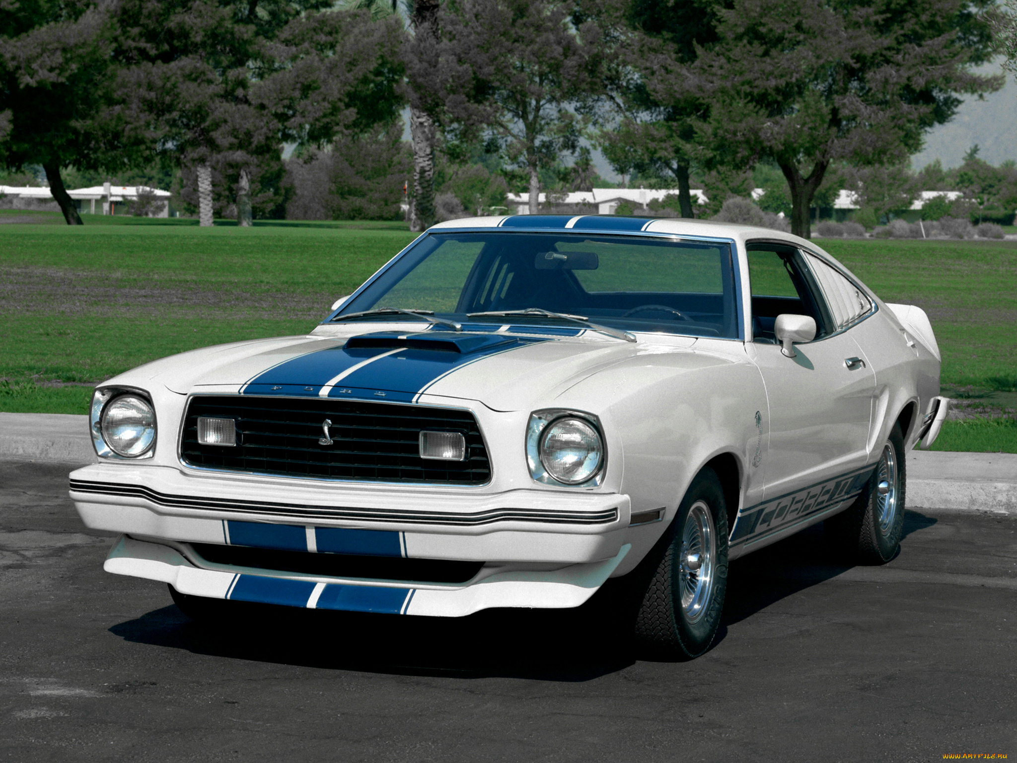 автомобили, mustang